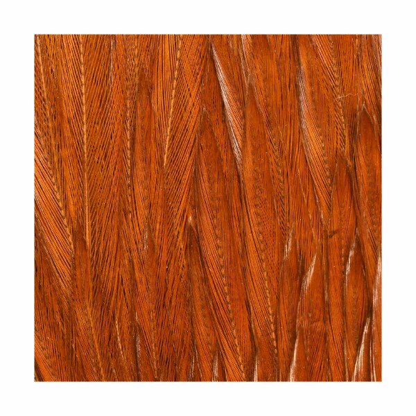 IMPORTED DRY FLY NECKS, Fly Tying Jann's Netcraft